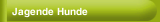 Jagende Hunde